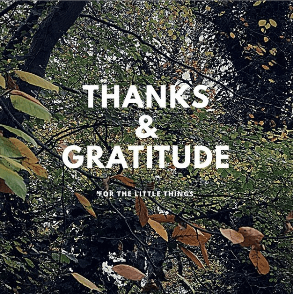 Thanks and Gratitude