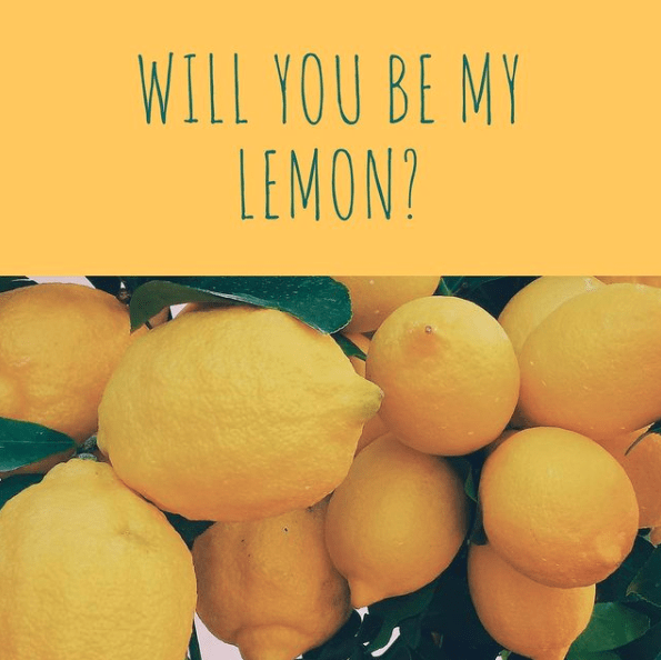 Will You Be My Lemon?